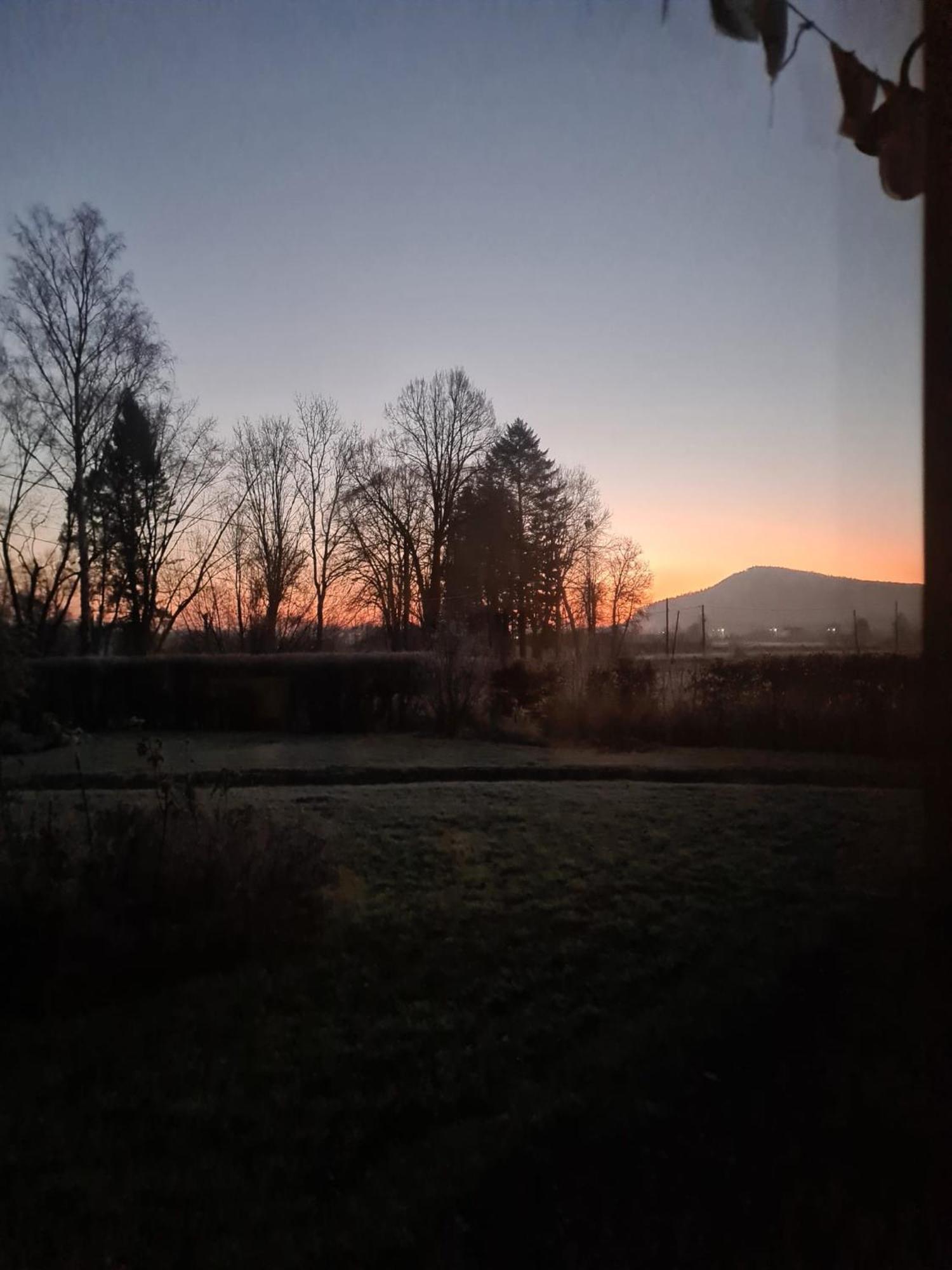 Wataha Pod Basztami - Alfa - Domki Caloroczne Radkow Exterior foto